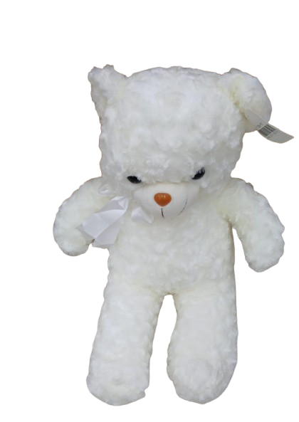 Teddy BEAR