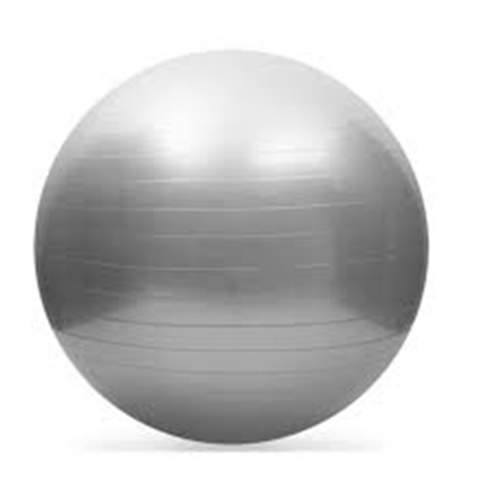 Therapy Balls (55cm)
