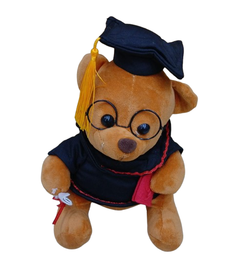 Graduation Teddy Bear