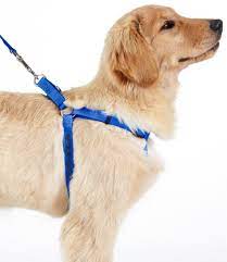 Dog Harness and collar sets