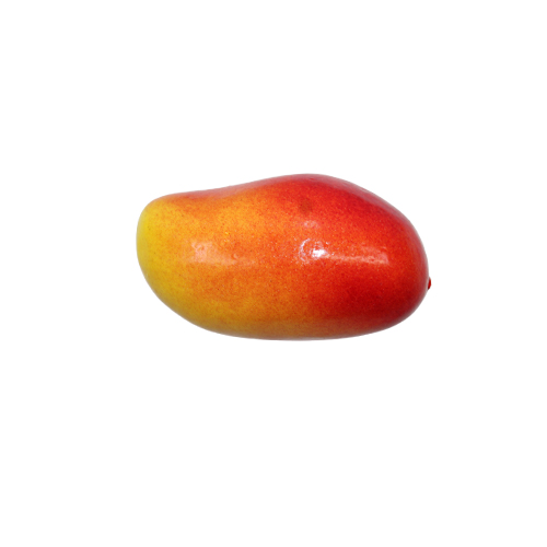 Artificial Fruits
