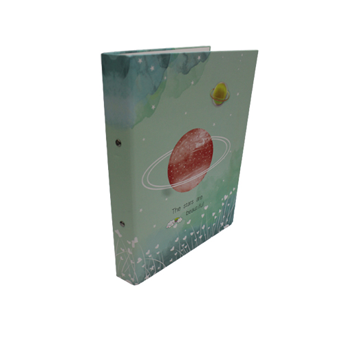 Hard Cover A4 Document Box Files