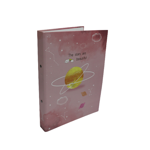Hard Cover A4 Document Box Files