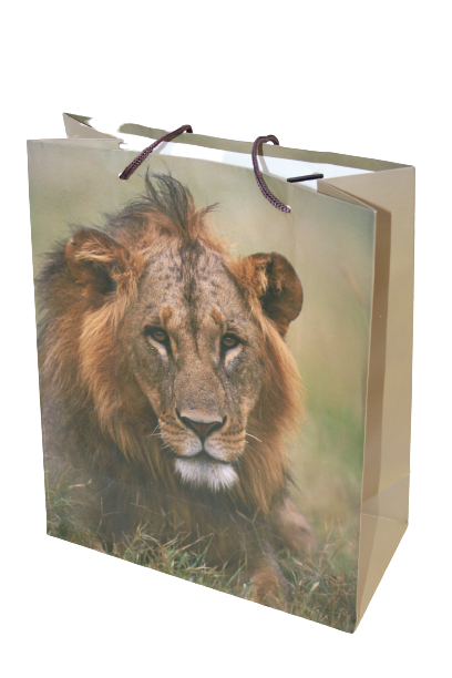 Gift Bags