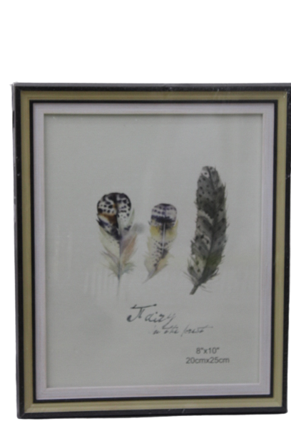 8' BY 10' Photo/Document Frame