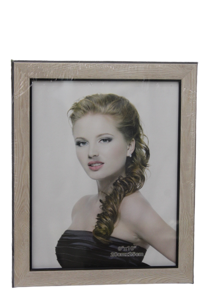 8' BY 10' Photo/Document Frame