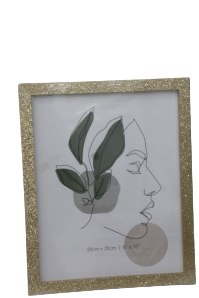 8' BY 10' Photo/Document Frame