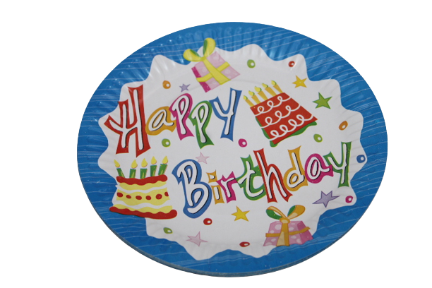 Disposable Party Plates (10PCS PER PACKET)