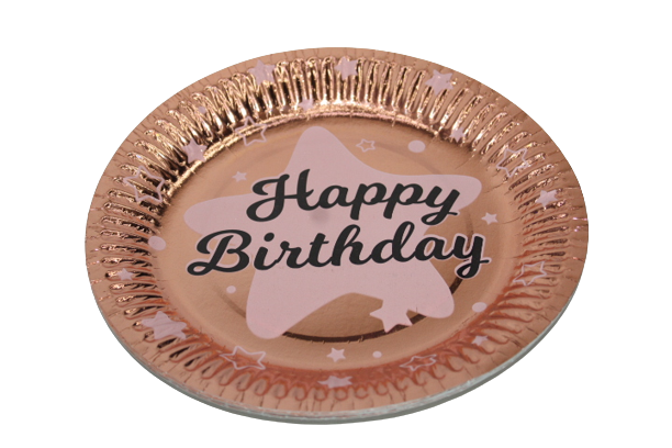 Disposable Party Plates (10PCS PER PACKET)