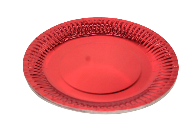 Disposable Party Plates (10PCS PER PACKET)