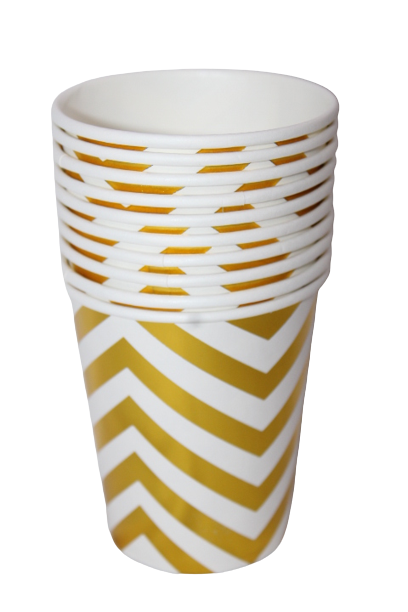 Disposable party cups (set of 10)