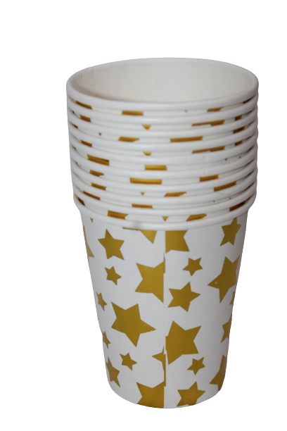 Disposable party cups (set of 10)