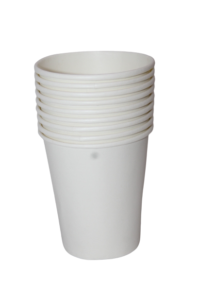Disposable party cups (set of 10)