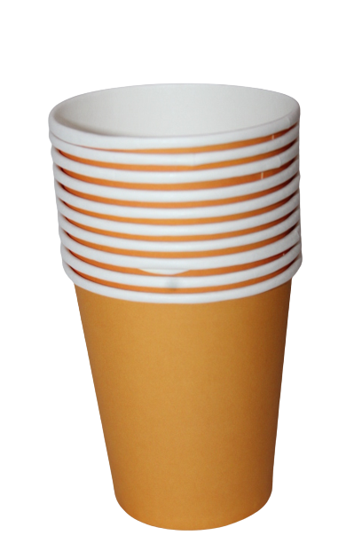 Disposable party cups (set of 10)