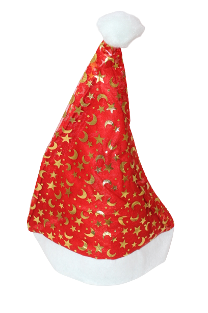 Christmas Santa Hats