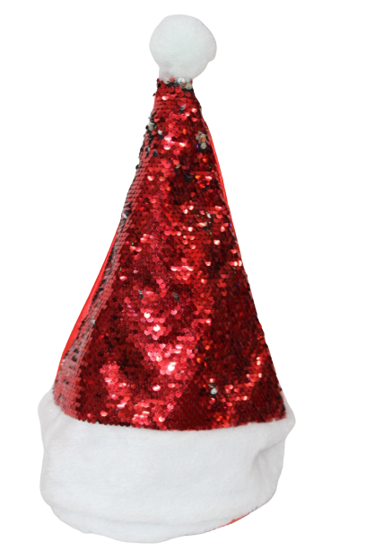 Christmas Santa Hats