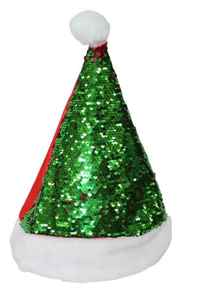 Christmas Santa Hats