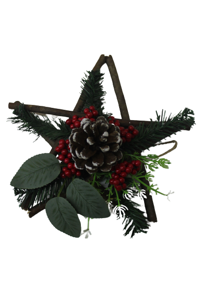 Hanging Christmas Star
