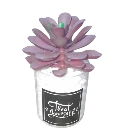 Artificial Cactus plant in a glass vase