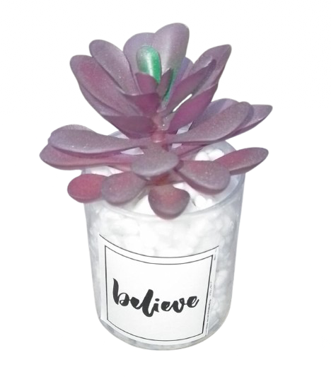 Artificial Cactus plant in a glass vase